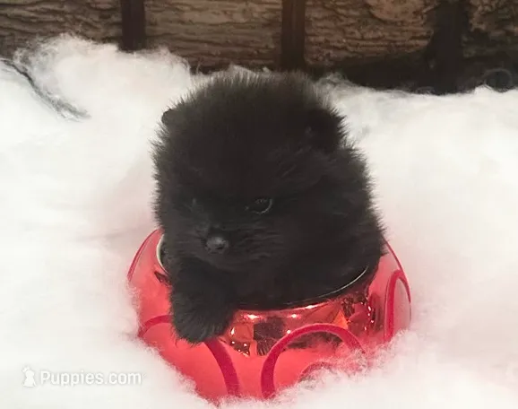 processed/d4ce657a-66cb-4ac1-8fbb-6da40c6627a5/listing/d547770e-b685-4466-845a-0615d87ac403/9095995e-c785-4bec-803b-7cff73038ba5