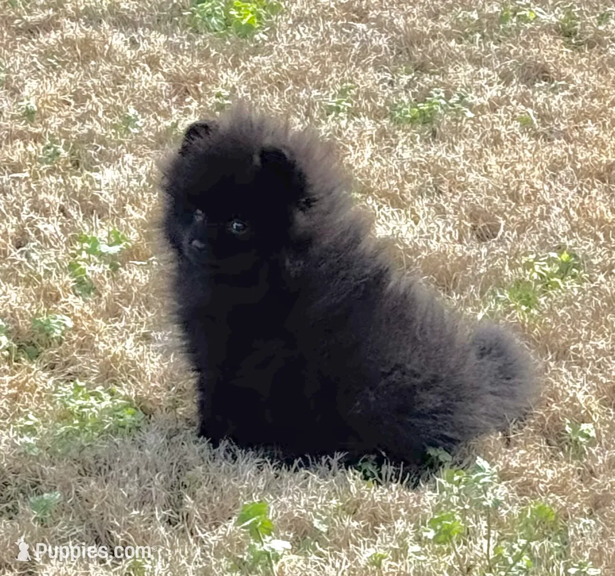 processed/d4ce657a-66cb-4ac1-8fbb-6da40c6627a5/listing/d547770e-b685-4466-845a-0615d87ac403/9e78193a-a42b-4941-b44f-4c874e809efa