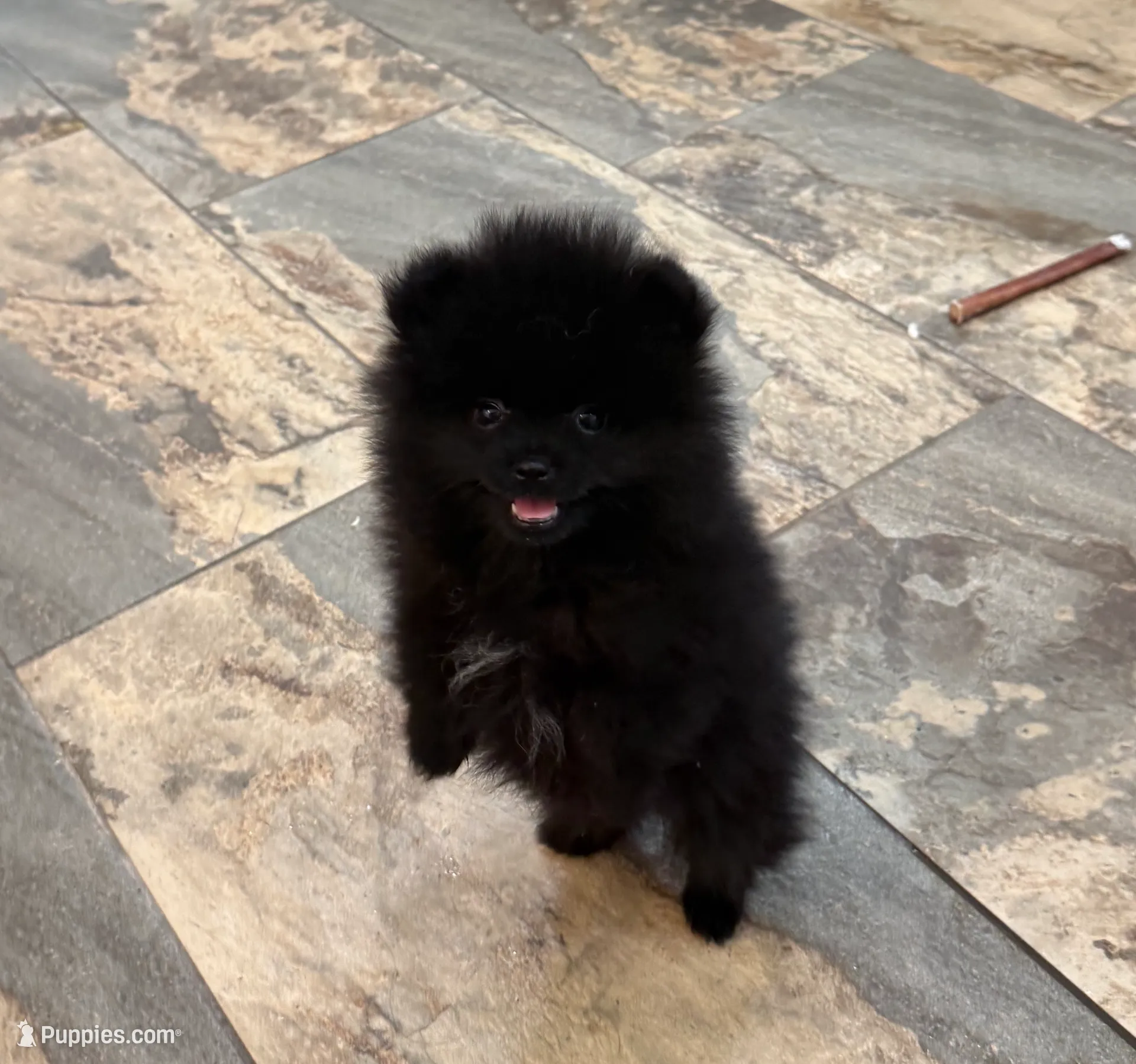 processed/d4ce657a-66cb-4ac1-8fbb-6da40c6627a5/listing/d547770e-b685-4466-845a-0615d87ac403/a9a4d285-e556-4492-98d4-9087c750b156