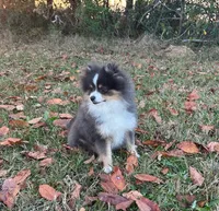 processed/d4ce657a-66cb-4ac1-8fbb-6da40c6627a5/listing/f3be3b95-f3e7-4bcb-9e6d-d8af7ce05b2c/32255b51-c119-4f1b-b68b-3e0815608598