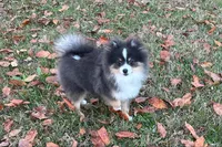 processed/d4ce657a-66cb-4ac1-8fbb-6da40c6627a5/listing/f3be3b95-f3e7-4bcb-9e6d-d8af7ce05b2c/76516538-d242-4c15-a529-64283c11ddaf