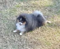 processed/d4ce657a-66cb-4ac1-8fbb-6da40c6627a5/listing/f3be3b95-f3e7-4bcb-9e6d-d8af7ce05b2c/77d8faf3-4166-4bea-aef6-36fcca6558f5