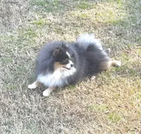 processed/d4ce657a-66cb-4ac1-8fbb-6da40c6627a5/listing/f3be3b95-f3e7-4bcb-9e6d-d8af7ce05b2c/a96b1765-a34b-4be2-b5f3-dd9dcff4e378