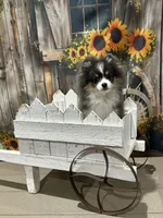 processed/d4ce657a-66cb-4ac1-8fbb-6da40c6627a5/listing/f3be3b95-f3e7-4bcb-9e6d-d8af7ce05b2c/ac63cd77-c566-407d-a086-13998bb1cfc6