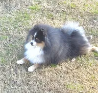 processed/d4ce657a-66cb-4ac1-8fbb-6da40c6627a5/listing/f3be3b95-f3e7-4bcb-9e6d-d8af7ce05b2c/c532bbf6-7754-4f86-93ce-94a63fedbcfc