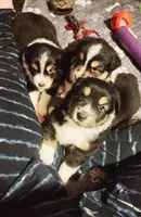 processed/d4f4cb43-9759-4450-bc81-6eb537a3ca77/facility/189962a1-7170-4c4e-8512-1f980587e2b0