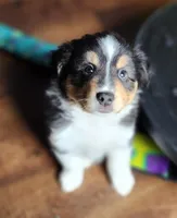 processed/d4f4cb43-9759-4450-bc81-6eb537a3ca77/facility/7fb5dd84-d0b1-44d2-b7f4-5631b0220dc0