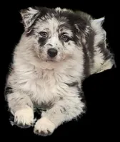 processed/d4f4cb43-9759-4450-bc81-6eb537a3ca77/facility/a87d7316-f1ae-446c-a97b-e1afbfac139a