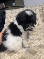 processed/d51470b6-9a4b-42bd-9e97-36692e2b31e9/listing/b49164e2-af20-4e96-a834-01cdd327a3c3/1dde4450-590b-4050-870b-41fdc9a743fb