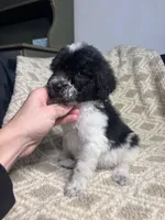 processed/d51470b6-9a4b-42bd-9e97-36692e2b31e9/listing/b49164e2-af20-4e96-a834-01cdd327a3c3/48c76559-b122-4b14-841c-c00366c52420