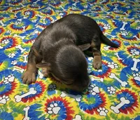 processed/d5149174-069d-4e05-8abd-6c297c1ee637/listing/4458cb11-a3b8-46b2-8f60-04343232bc4f/077e2a1a-878f-4dc7-aaa5-0d18bf3d4829