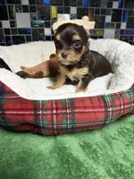 processed/d5149174-069d-4e05-8abd-6c297c1ee637/listing/4458cb11-a3b8-46b2-8f60-04343232bc4f/4a3dca0c-63e1-433d-be5c-1a46fc2f5e69