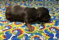 processed/d5149174-069d-4e05-8abd-6c297c1ee637/listing/4458cb11-a3b8-46b2-8f60-04343232bc4f/8b0a18b2-d05b-4436-a4f0-3d2a699f4de6