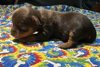 processed/d5149174-069d-4e05-8abd-6c297c1ee637/listing/4458cb11-a3b8-46b2-8f60-04343232bc4f/c6c564ec-ab2c-44d1-b72d-a96f7e4ff4ba