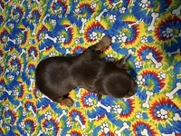 processed/d5149174-069d-4e05-8abd-6c297c1ee637/listing/4458cb11-a3b8-46b2-8f60-04343232bc4f/d98635b7-cab1-4b05-b681-6f95d2f2a8ef