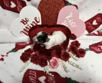 Tiny White Brindle Boy , a male Yorkshire Terrier for sale in Shreveport, LA – Photo 5 of 8