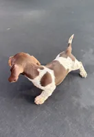Chocolate and tan piebald, a female Miniature Dachshund for sale in Carthage, MS – 9 of 10