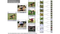 Echo VII, a male German Shepherd Dog for sale in Kyle, TX – 4 of 9