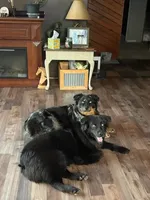 processed/d51fb151-819c-4a2a-a2e9-923adf2b153b/facility/03ab9cf8-e13f-42db-8f17-c7a93bc67155