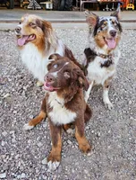 processed/d51fb151-819c-4a2a-a2e9-923adf2b153b/facility/327a1756-75bd-4991-845b-d78c0981dee1