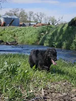 processed/d51fb151-819c-4a2a-a2e9-923adf2b153b/facility/4917b59e-3aed-45fa-9878-9d1af118de7c