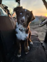 processed/d51fb151-819c-4a2a-a2e9-923adf2b153b/facility/75ed84c0-f85d-437c-89f0-021a268dcdaf