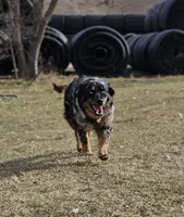 processed/d51fb151-819c-4a2a-a2e9-923adf2b153b/facility/db3121c0-4e23-41b8-9ad9-15914ec58b36