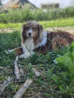 processed/d51fb151-819c-4a2a-a2e9-923adf2b153b/facility/f69069a2-50ab-4338-bc1f-0959ee6d1e7a