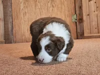 processed/d51fb151-819c-4a2a-a2e9-923adf2b153b/listing/298884df-1c93-4ac2-8fa1-77c881ce5563/0444b89e-3a52-435a-b03c-266568c00840