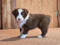 processed/d51fb151-819c-4a2a-a2e9-923adf2b153b/listing/298884df-1c93-4ac2-8fa1-77c881ce5563/049fbdf7-d3d7-47b1-a216-0dee1bcd41da