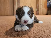 processed/d51fb151-819c-4a2a-a2e9-923adf2b153b/listing/298884df-1c93-4ac2-8fa1-77c881ce5563/529ebda9-0e90-4b5b-bf91-b6caa4ac742b