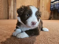 processed/d51fb151-819c-4a2a-a2e9-923adf2b153b/listing/298884df-1c93-4ac2-8fa1-77c881ce5563/6c1e9435-187f-4c30-99e9-9184f1b45361