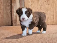 processed/d51fb151-819c-4a2a-a2e9-923adf2b153b/listing/298884df-1c93-4ac2-8fa1-77c881ce5563/a036c62c-77ca-4497-9211-e4dce67f9c36