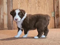 processed/d51fb151-819c-4a2a-a2e9-923adf2b153b/listing/298884df-1c93-4ac2-8fa1-77c881ce5563/db216c5d-f99e-4787-9cde-d1784ee539f0