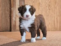 processed/d51fb151-819c-4a2a-a2e9-923adf2b153b/listing/298884df-1c93-4ac2-8fa1-77c881ce5563/dcbd6bb9-1efa-4c60-9dc6-075b66185be7