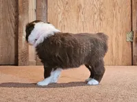 processed/d51fb151-819c-4a2a-a2e9-923adf2b153b/listing/298884df-1c93-4ac2-8fa1-77c881ce5563/fb08de64-f998-451f-bccb-a41c825632c8