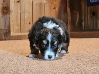 processed/d51fb151-819c-4a2a-a2e9-923adf2b153b/listing/5aaa3963-59f8-4db1-8c88-ba961b1e9fc4/59c1724c-4a74-47d4-8fd8-e6471c1c5102