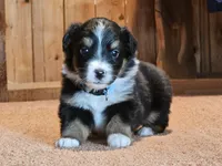 processed/d51fb151-819c-4a2a-a2e9-923adf2b153b/listing/5aaa3963-59f8-4db1-8c88-ba961b1e9fc4/883ca972-d6fb-4c98-9011-9b87a66c0272