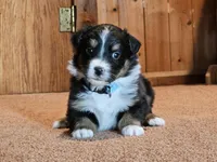 processed/d51fb151-819c-4a2a-a2e9-923adf2b153b/listing/5aaa3963-59f8-4db1-8c88-ba961b1e9fc4/be7c7e4b-0590-4674-809e-71a4a9b7340c