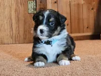 processed/d51fb151-819c-4a2a-a2e9-923adf2b153b/listing/5aaa3963-59f8-4db1-8c88-ba961b1e9fc4/cf9e969b-4ce5-4e83-80a9-80023e91078f