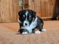 processed/d51fb151-819c-4a2a-a2e9-923adf2b153b/listing/5aaa3963-59f8-4db1-8c88-ba961b1e9fc4/ef13c5a9-f465-4c59-82ff-fea4286fe8e3