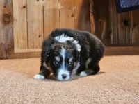 processed/d51fb151-819c-4a2a-a2e9-923adf2b153b/listing/5aaa3963-59f8-4db1-8c88-ba961b1e9fc4/fa92f5dd-e5a4-4dfe-a1ef-30f068f737cd