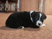 processed/d51fb151-819c-4a2a-a2e9-923adf2b153b/listing/7e30f85c-63bc-42dc-a3db-647057d838da/22f5ce0b-28c3-4f33-a6ac-ce341be8e7c1