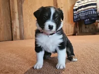 processed/d51fb151-819c-4a2a-a2e9-923adf2b153b/listing/7e30f85c-63bc-42dc-a3db-647057d838da/6398e855-e08e-4932-ae41-5e01704f3090