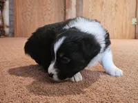 processed/d51fb151-819c-4a2a-a2e9-923adf2b153b/listing/7e30f85c-63bc-42dc-a3db-647057d838da/b7ab41e3-a3b6-415d-825e-3b1fc23c212c