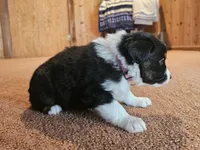 processed/d51fb151-819c-4a2a-a2e9-923adf2b153b/listing/7e30f85c-63bc-42dc-a3db-647057d838da/b9cc1ef0-d285-400f-a7c9-176b631bfd73