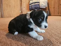 processed/d51fb151-819c-4a2a-a2e9-923adf2b153b/listing/7e30f85c-63bc-42dc-a3db-647057d838da/e53ed7f7-a33b-4f77-b785-108c44611452