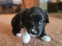 processed/d51fb151-819c-4a2a-a2e9-923adf2b153b/listing/a8249dfa-2a28-4774-a3d6-85222ccf9f07/077efdc8-09e7-430e-b4f1-8a1a4cbf5cde