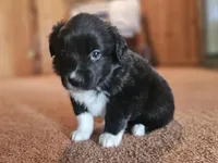 processed/d51fb151-819c-4a2a-a2e9-923adf2b153b/listing/a8249dfa-2a28-4774-a3d6-85222ccf9f07/102f220e-819c-4194-bb21-b70f4eea4e68