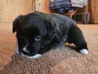 processed/d51fb151-819c-4a2a-a2e9-923adf2b153b/listing/a8249dfa-2a28-4774-a3d6-85222ccf9f07/16985f3a-c4cd-4085-ade2-9c3509b2bbe4